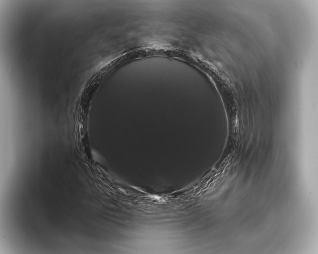 X0000093401303200710260909