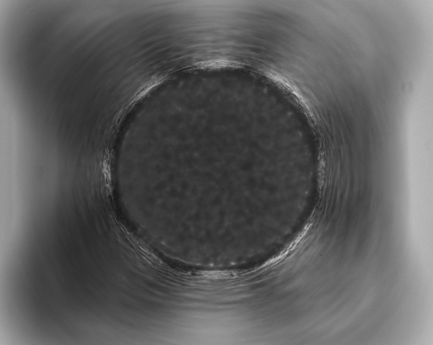 X0000093401305200710260909