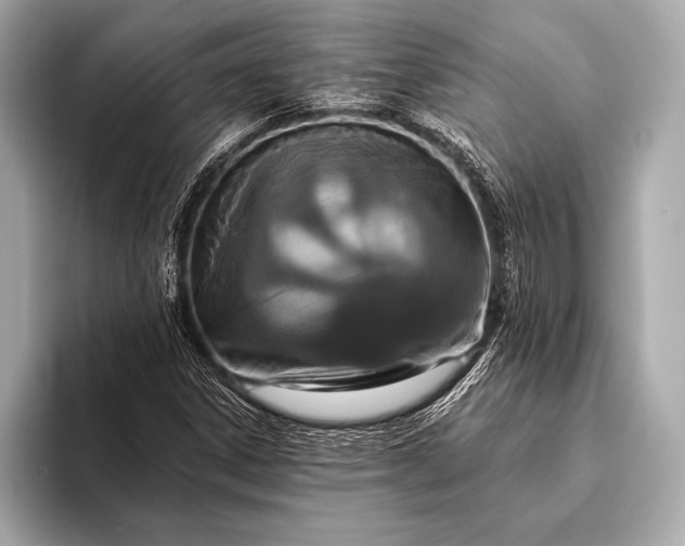 X0000093401306200710260909