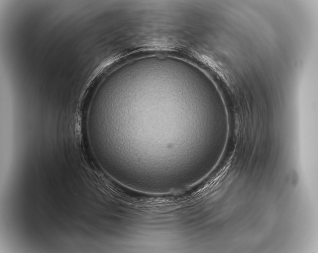 X0000093401307200710260909