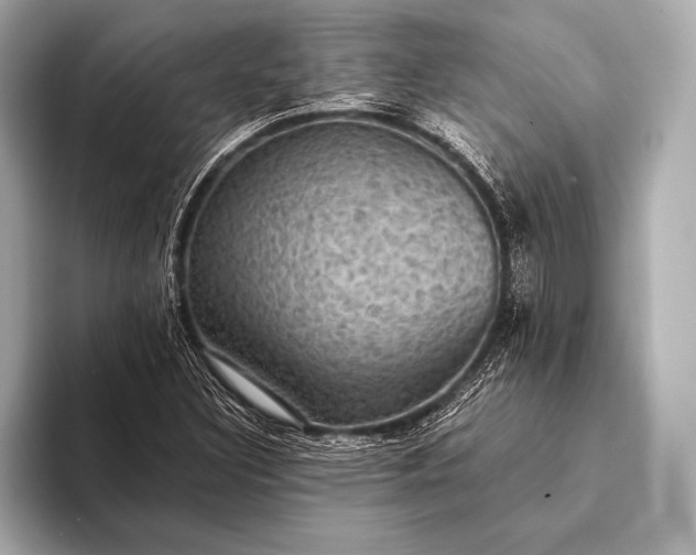 X0000093401308200710260909