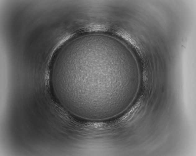 X0000093401309200710260909