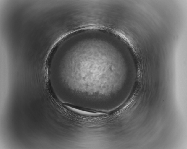 X0000093401310200710260909