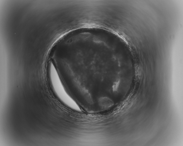 X0000093401311200710260909