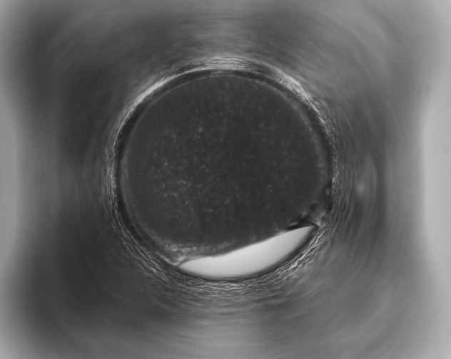 X0000093401312200710260909