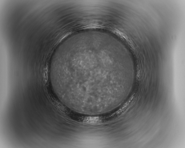 X0000093401313200710260909