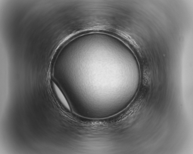 X0000093401316200710260909