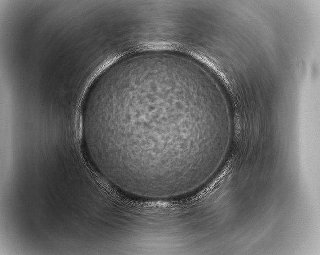 X0000093401317200710260909