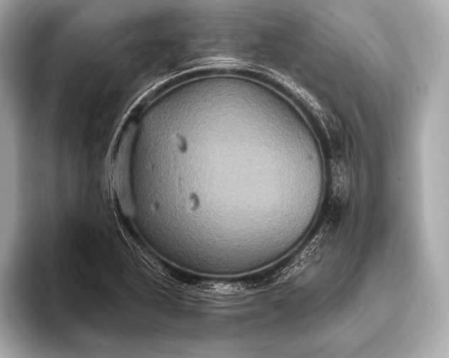 X0000093401318200710260909