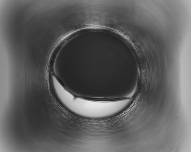 X0000093401319200710260909