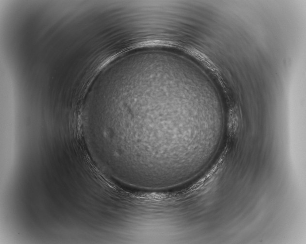 X0000093401321200710260909