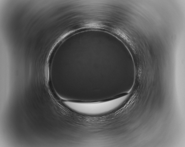 X0000093401323200710260909