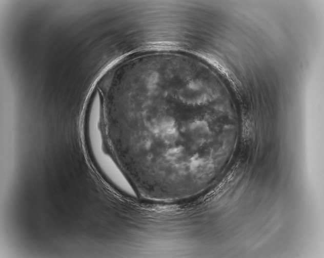 X0000093401325200710260909