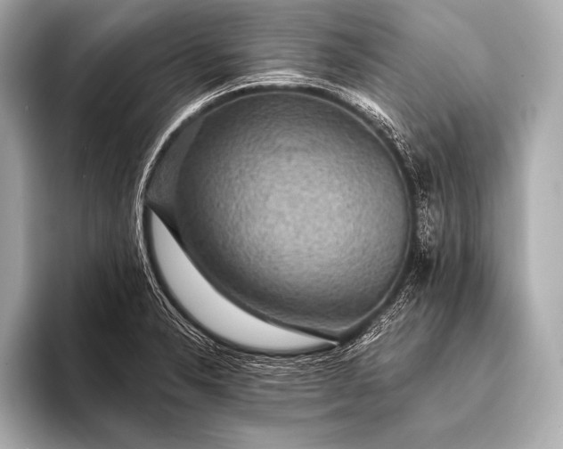 X0000093401326200710260909