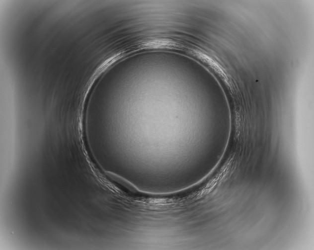 X0000093401330200710260909