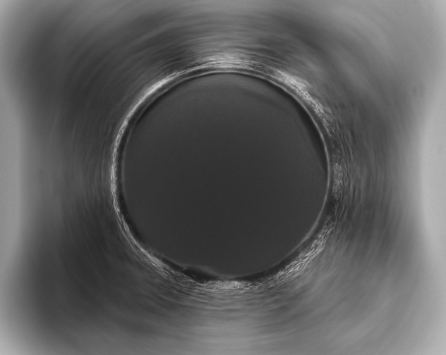 X0000093401331200710260909