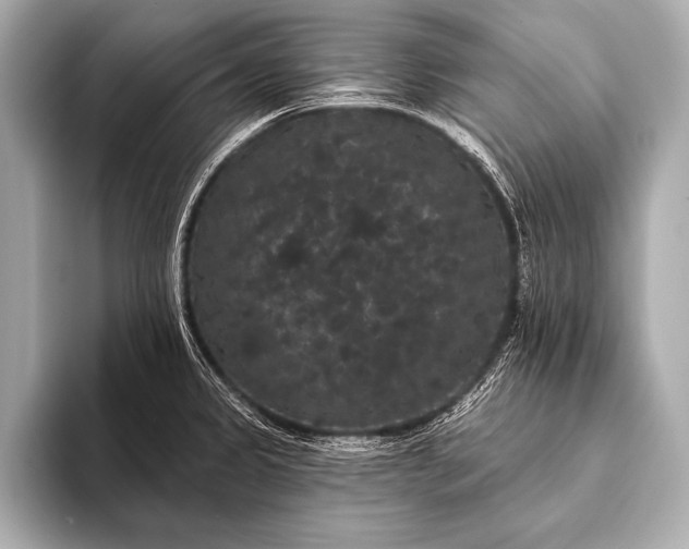 X0000093401333200710260909