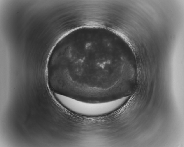 X0000093401335200710260909