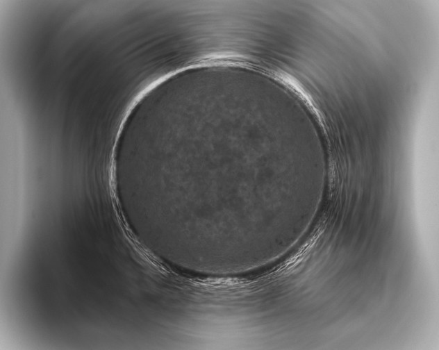 X0000093401336200710260909