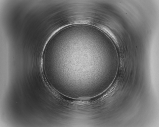 X0000093401340200710260909