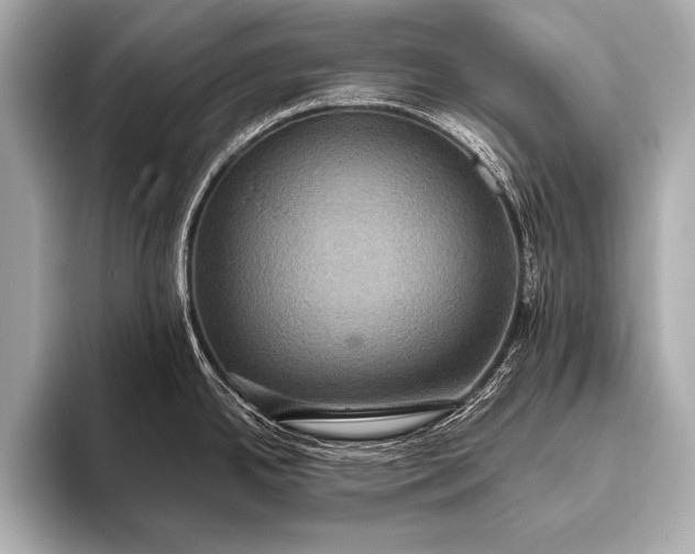 X0000093401342200710260909