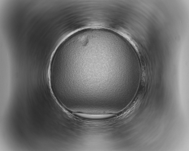 X0000093401343200710260909