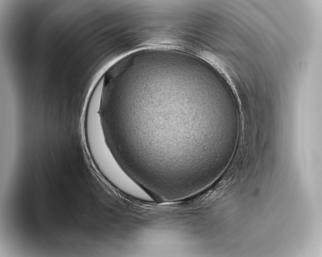 X0000093401344200710260909