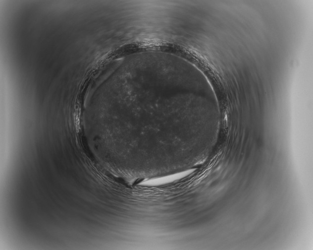 X0000093401348200710260909