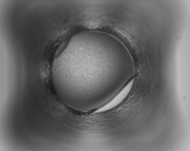 X0000093401349200710260909