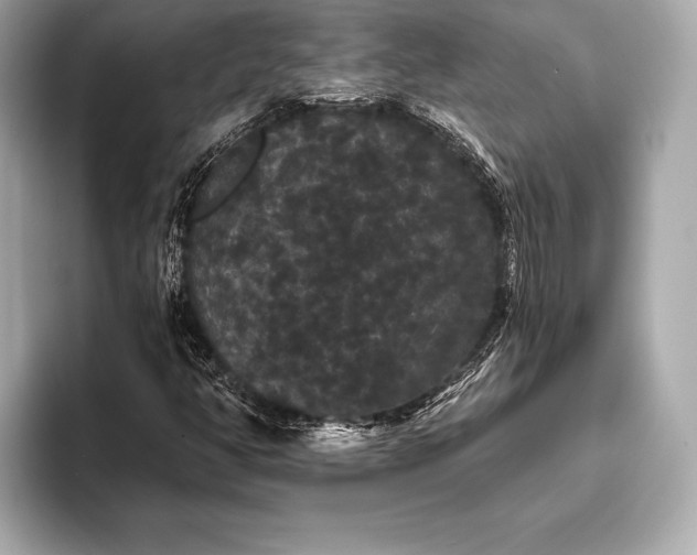 X0000093401350200710260909