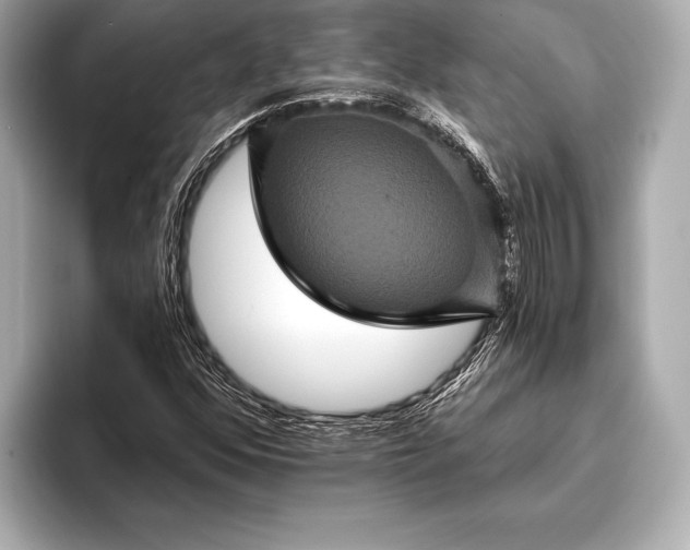 X0000093401352200710260908