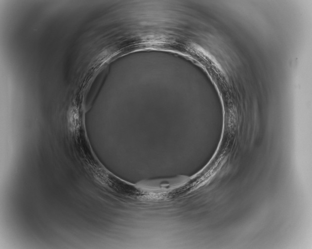 X0000093401353200710260908