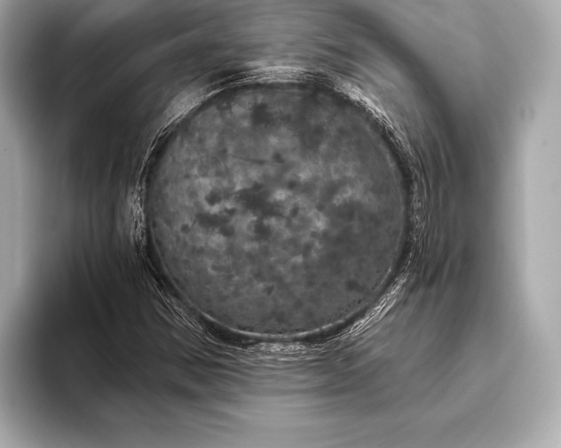 X0000093401354200710260908