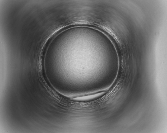 X0000093401356200710260908