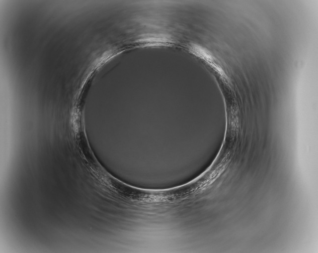 X0000093401357200710260908