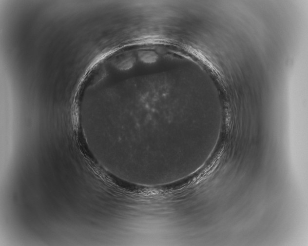 X0000093401358200710260908