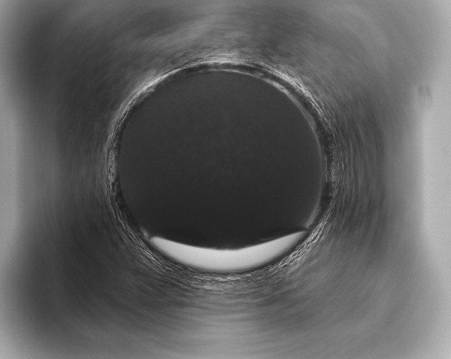 X0000093401359200710260908