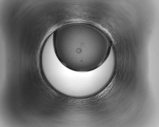 X0000093401365200710260908