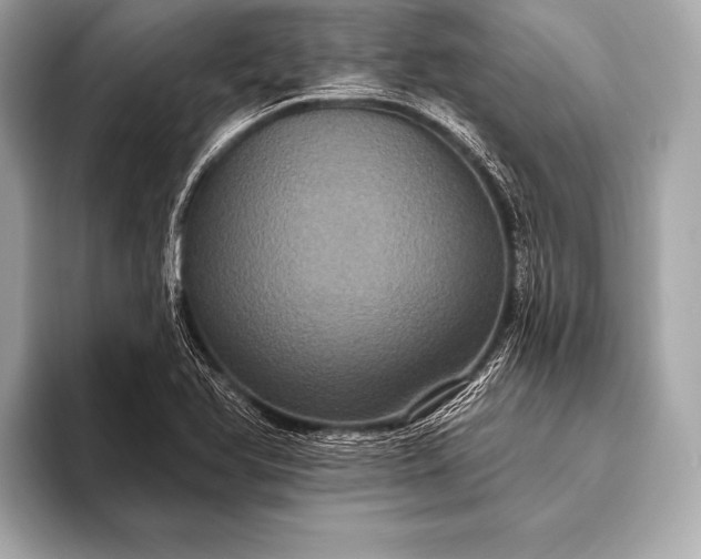 X0000093401366200710260908