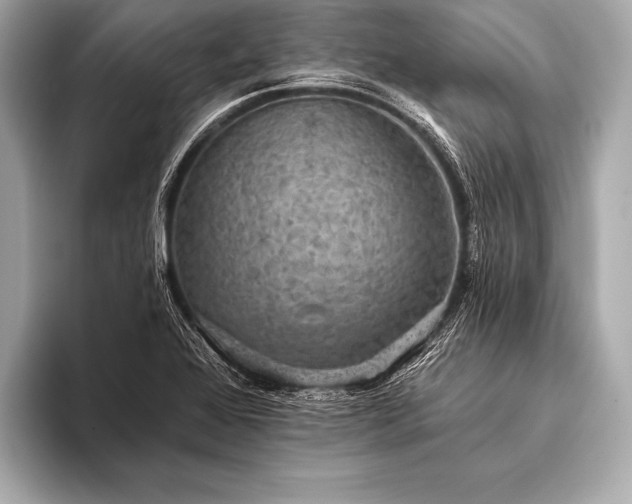 X0000093401368200710260908