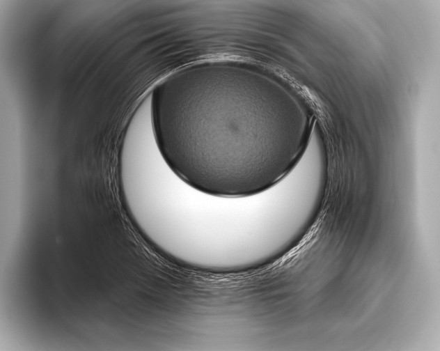 X0000093401369200710260908