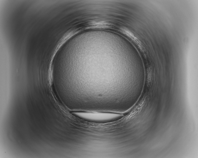 X0000093401370200710260908