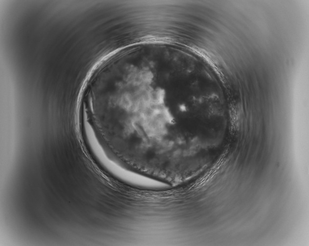 X0000093401371200710260908