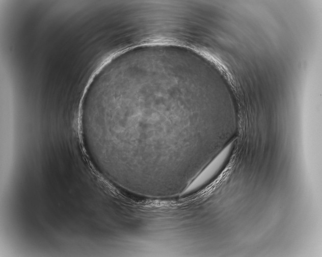 X0000093401374200710260908