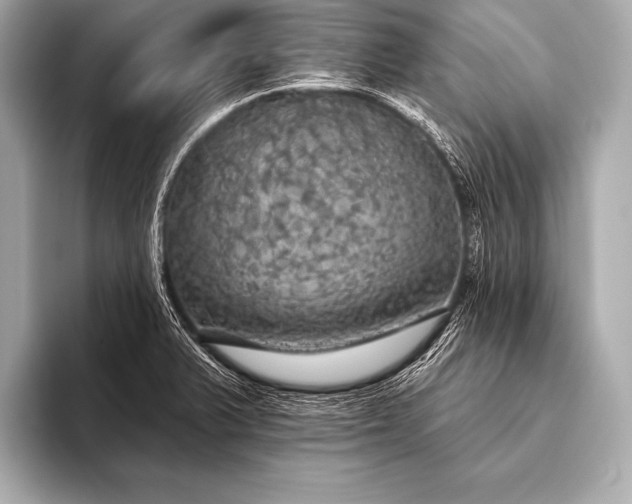 X0000093401375200710260908