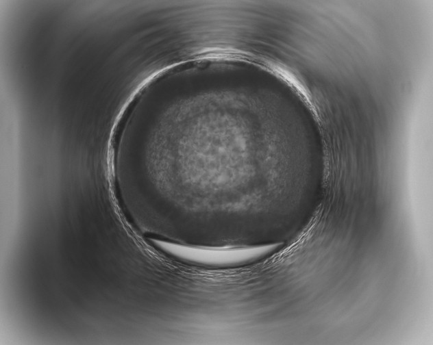 X0000093401376200710260908