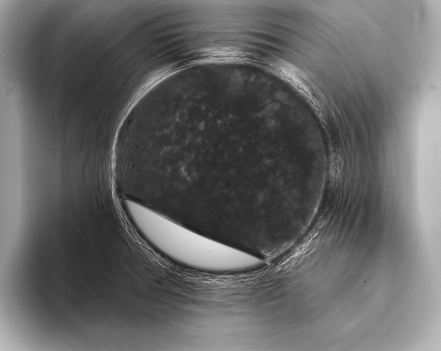 X0000093401378200710260908