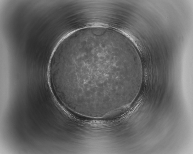 X0000093401379200710260908