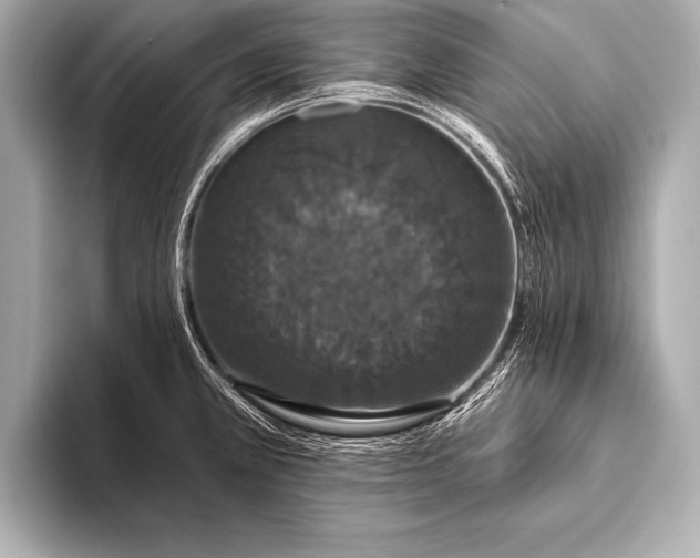 X0000093401381200710260908