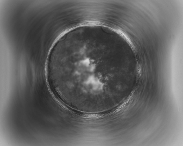 X0000093401382200710260908